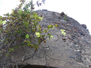 Torre Modo